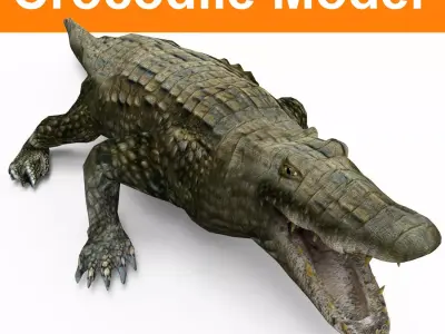 Crocodile 3D Models game ready low poly model 3D model