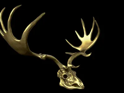 Megaloceros Giganteus or Irish Elk Skull Free low-poly 3D model