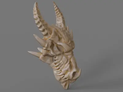 Dragon skull 3D print model