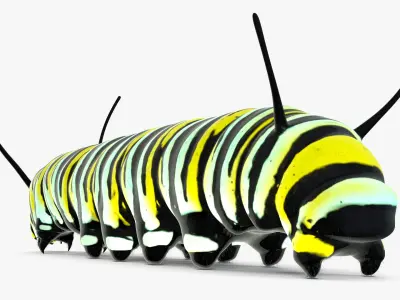 Monarch Butterfly Caterpillar Fur 3D model