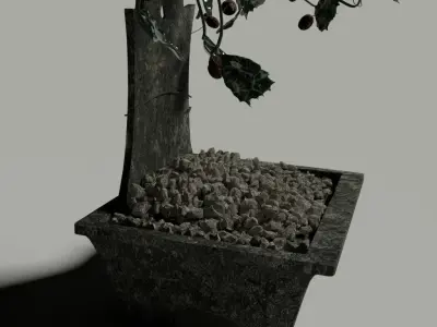 Ceramic Bansai Free 3D model