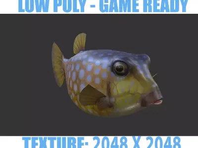 Bo Hom  Low-poly 3D model