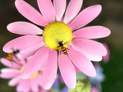 Bee Honey Movie 3D Model 3D model