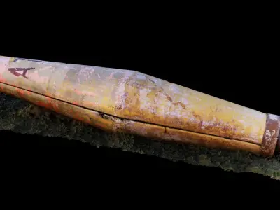 buoy on lawn 3D model