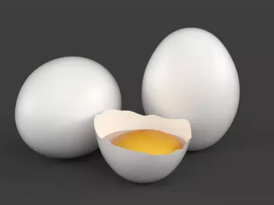 Broken White Egg 3D model