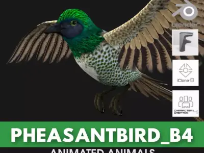 PheasantBird B4 3D model