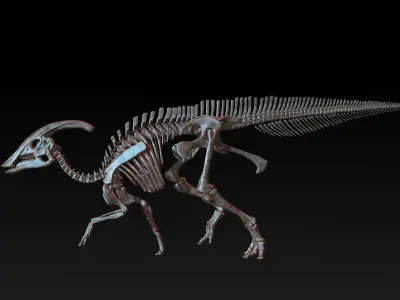 Parasaurolophus skeleton Low-poly 3D model