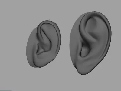 ear 3d model 3D model