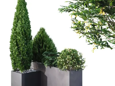 HQ Tree and bush garden box outdoor VOL 04 Free 3D model