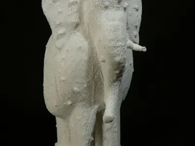 After Rohan Wealleans He Of 109 Names And One Tusk Free 3D print model