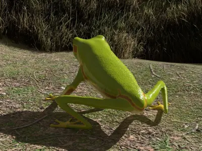 Tree frog Low-poly 3D model