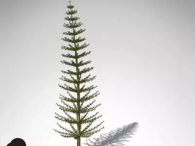 XfrogPlants Calamites 3D model