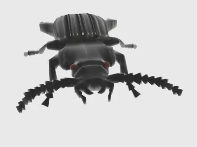 Low Poly Beetle Low-poly 3D model