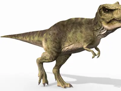 THE T Rex - 8K 3D model