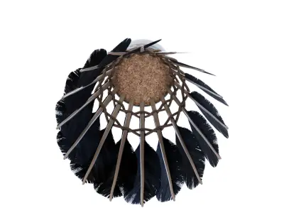 Shuttlecock feather headdress 3D model