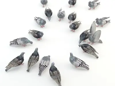 Pigeon Low-poly 3D model