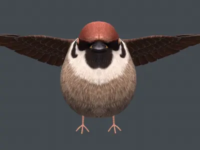 Sparrow bird Low-poly 3D model