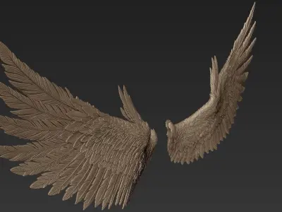 Wings 2 Zbrush Sculpt 3D model
