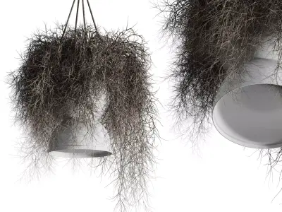 birds nest with pendant lights Low-poly 3D model