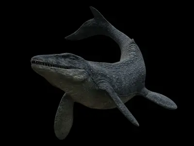 Mosasaurus Mosasaur Low-poly 3D model