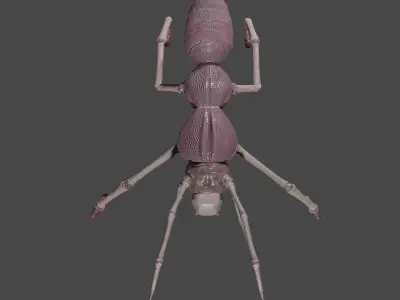  Arthropoda creature Low-poly 3D model