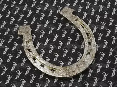 Horseshoe 3D model 3D model