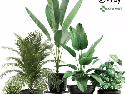 Plants collection 119 Growfx 3D model