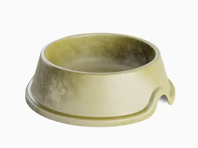 Used Metal Dog Bowl 05 3D model