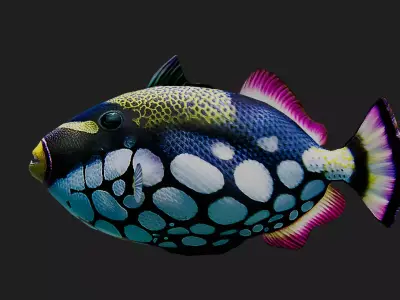 Clowntriggerfish Low-poly 3D model