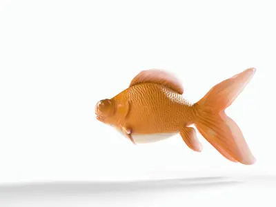 Orange gold fish Low-poly 3D model