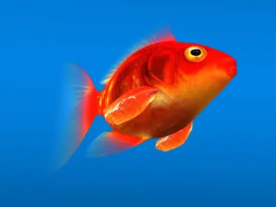 Gold Fish low-poly Low-poly 3D model