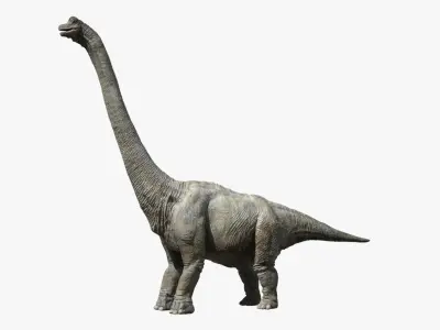 Brachiosaurus (Rigged)