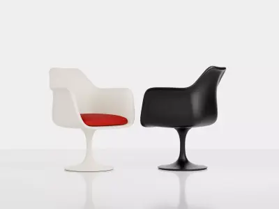 Tulip Armchair Free 3D model