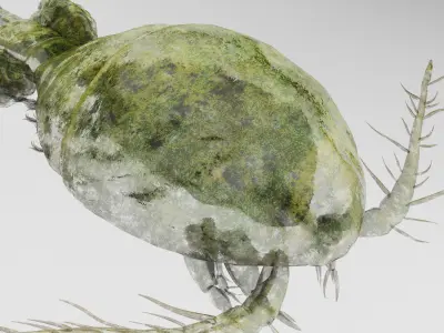 Cyclops Rigged 3D model