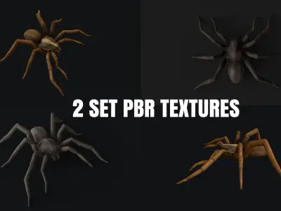 Wolf Spider Low-poly 3D model