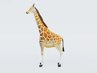 Giraffe Free 3D model