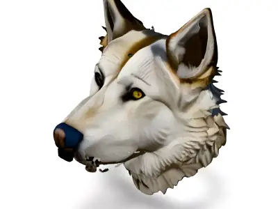 Realistic Wolf Head 3D Model Low-poly 3D model