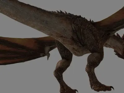 Dragon Animations Low-poly 3D model