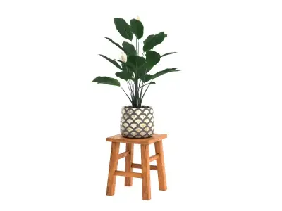 Peace Lily Free low-poly 3D model