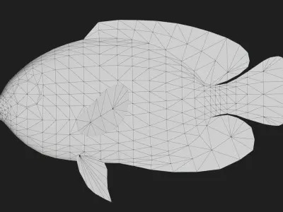 Bass fish Low-poly 3D model