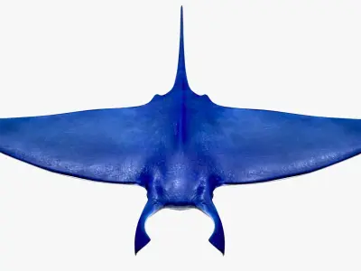 Rigged and Animated Manta ray sea creature Low-poly 3D model