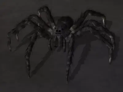 spider 3D model
