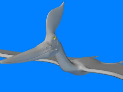 Pteranodon Sternbergi D 3D model
