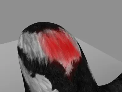 Downy Woodpecker 3D model