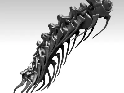 Spinosaurus 2020 version Neck Set Skeletons 3D model