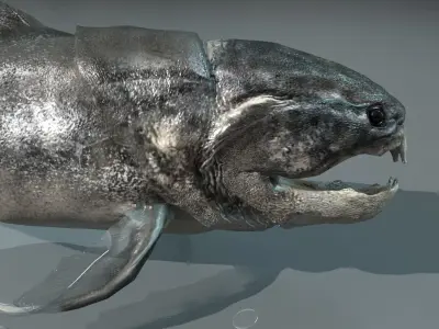 Dunkleosteus fish Low-poly 3D model