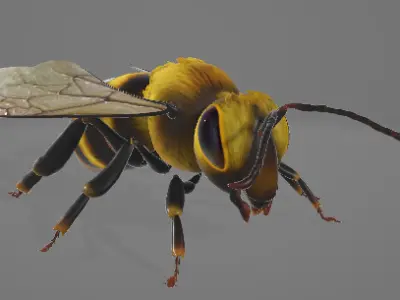 simple bee 3D print model
