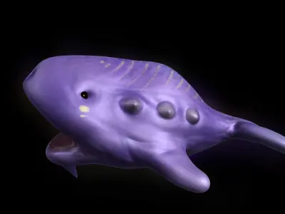 3D Model Whale Cartoon Low-poly 3D model