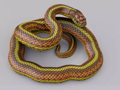 Animated Yellow Snake Free 3D model