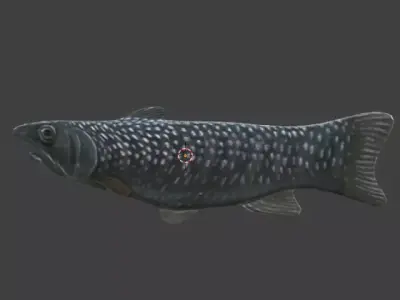 Fish trout Free 3D model